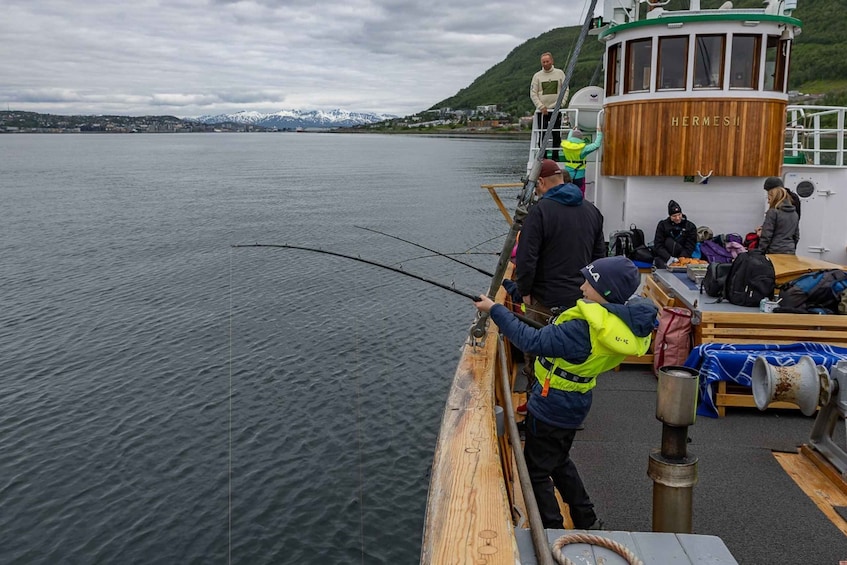 Picture 4 for Activity Tromsø: Fishing & Fjord Cruise