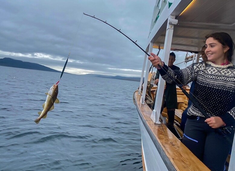 Picture 3 for Activity Tromsø: Fishing & Fjord Cruise