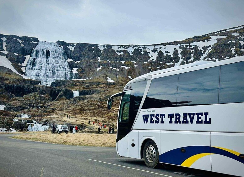 Picture 4 for Activity From Isafjordur: Dynjandi Waterfall Guided Day Trip by Bus