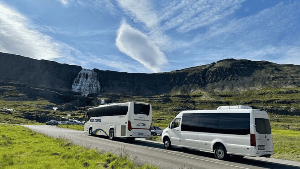Picture 4 for Activity From Isafjordur: Dynjandi Waterfall Guided Day Trip by Bus