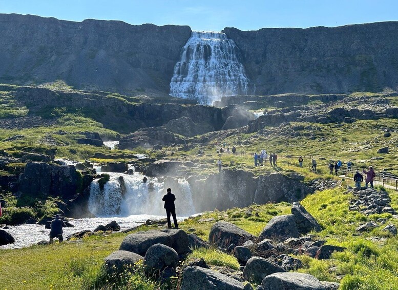 Picture 1 for Activity From Isafjordur: Dynjandi Waterfall Guided Day Trip by Bus