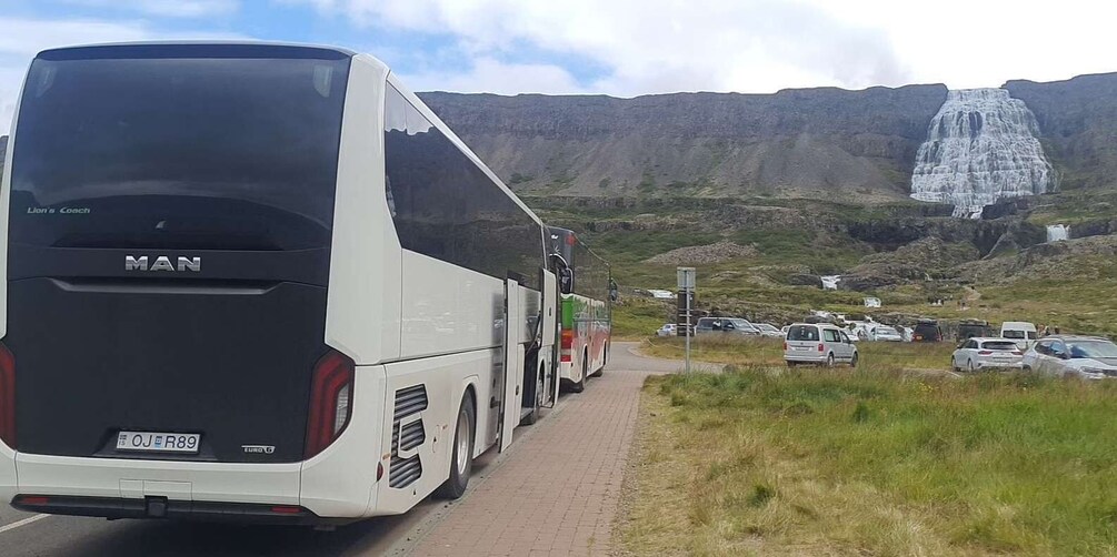 Picture 4 for Activity From Isafjordur: Dynjandi Waterfall Guided Day Trip by Bus