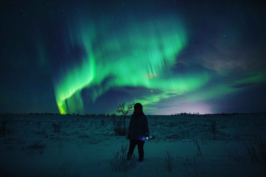 Picture 1 for Activity From Alta: Nighttime Northern Lights Spotting Tour