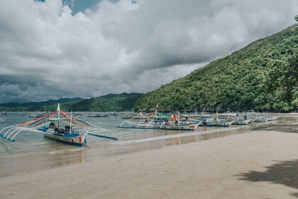 Puerto Princesa: Excursión privada por el río subterráneo y los cauri