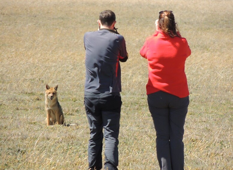 Picture 1 for Activity From Quito: Antisana and Condor Watching Guided Day Trip