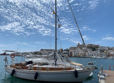 Benalmádena: Small group sailing trip along Costa del Sol