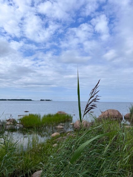 Picture 2 for Activity Lahemaa National Park: a day-trip