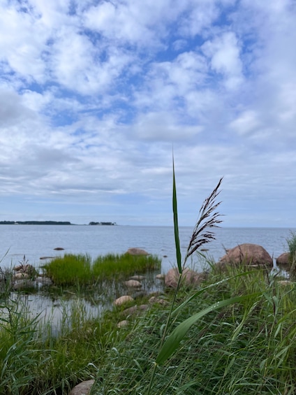 Picture 2 for Activity Lahemaa National Park: a day-trip