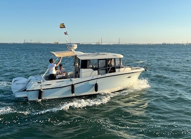 Cadiz Bay: 3 hours tour in a private boat in the Cadiz Bay