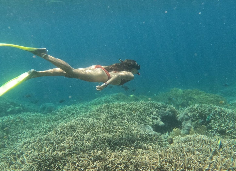 From Bali: Lembongan & Penida 2-Day Tour with Snorkeling