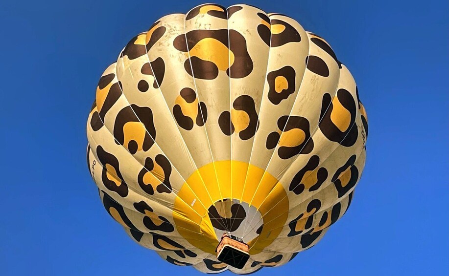 Picture 5 for Activity Serengeti & Tarangire: Exclusive Balloon Safari