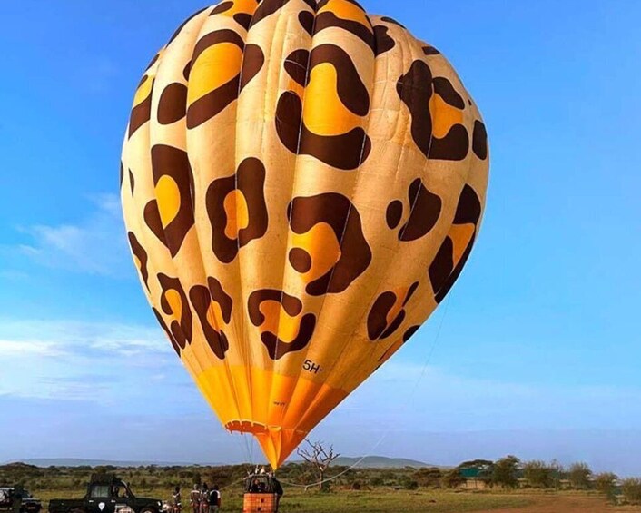 Picture 11 for Activity Serengeti & Tarangire: Exclusive Balloon Safari