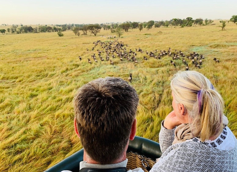 Serengeti & Tarangire: Exclusive Balloon Safari