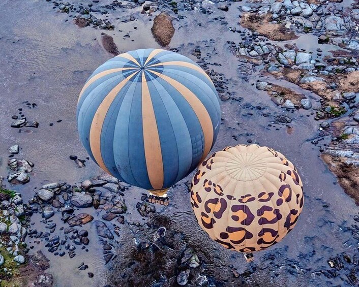 Picture 7 for Activity Serengeti & Tarangire: Exclusive Balloon Safari