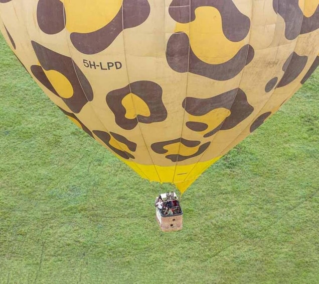 Picture 17 for Activity Serengeti & Tarangire: Exclusive Balloon Safari