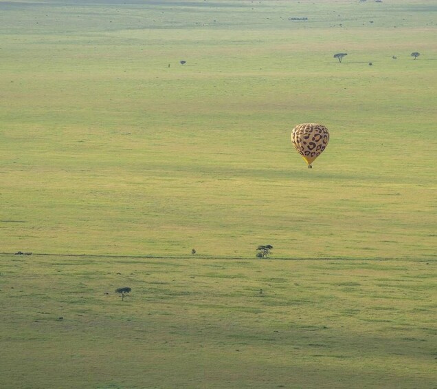 Picture 19 for Activity Serengeti & Tarangire: Exclusive Balloon Safari