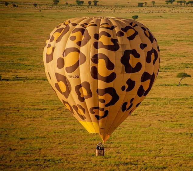 Picture 20 for Activity Serengeti & Tarangire: Exclusive Balloon Safari