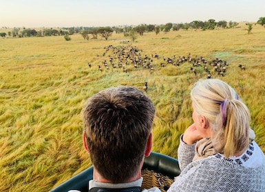 Serengeti & Tarangire: Exclusive Balloon Safari