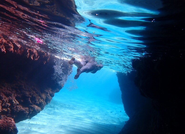 Guided Agia Napa C Caves + Konnos Snorkelling trip - NO boat