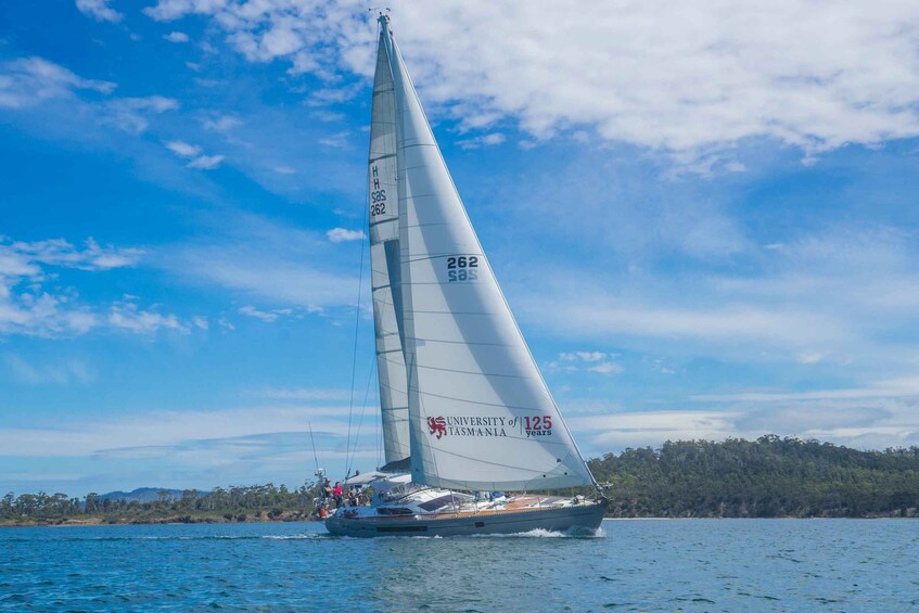 Picture 3 for Activity Hobart: Luxury Yacht Scenic Sailing Tour with Snacks