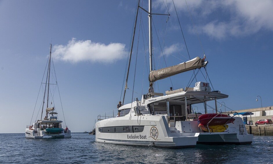 Picture 1 for Activity Puerto Rico de Gran Canaria: Private Catamaran Charter