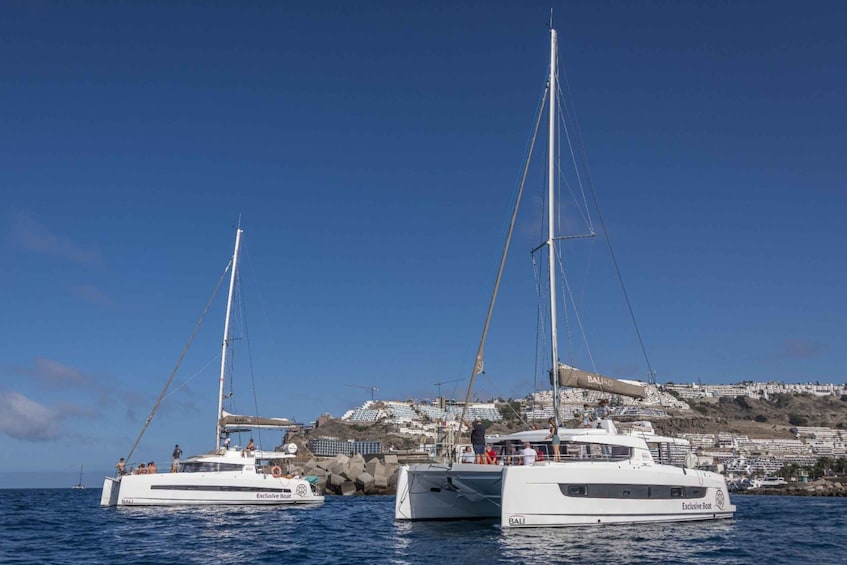 Puerto Rico de Gran Canaria: Private Catamaran Charter