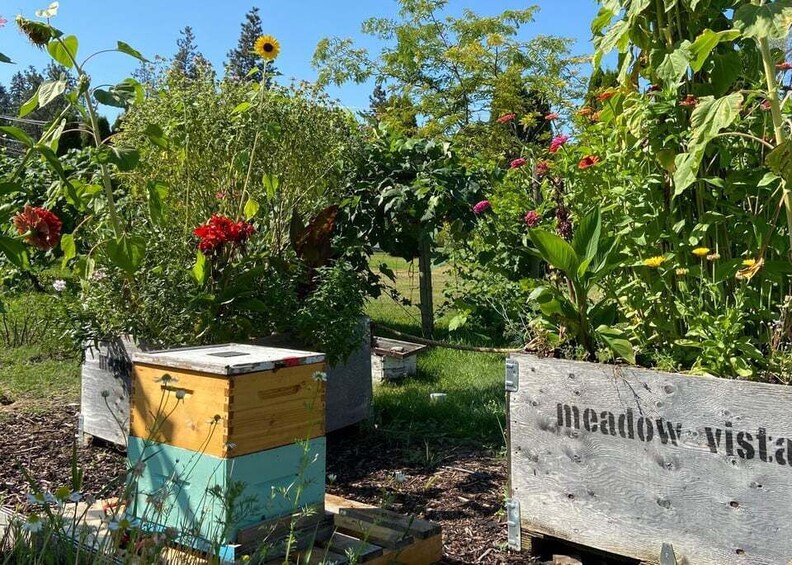 Picture 4 for Activity Kelowna: E-Bike Bee Tour w/ Tastings, Lunch, and Audioguide