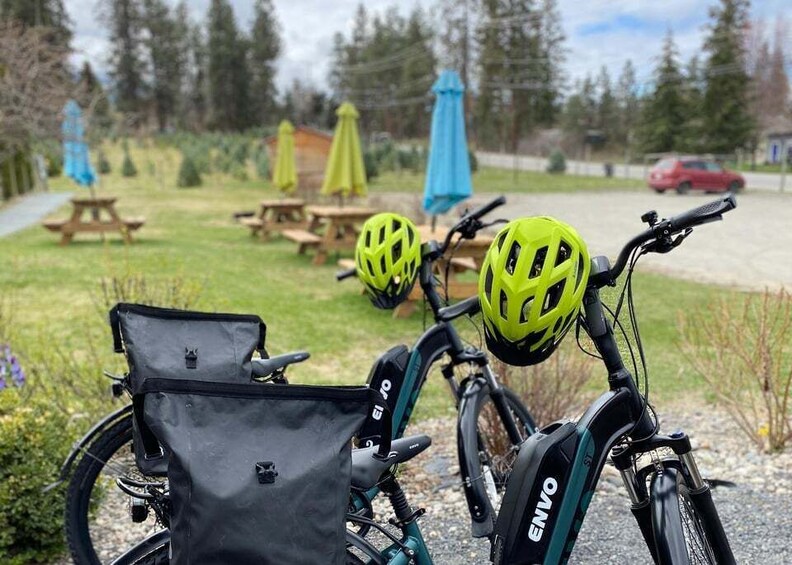 Picture 8 for Activity Kelowna: E-Bike Bee Tour w/ Tastings, Lunch, and Audioguide