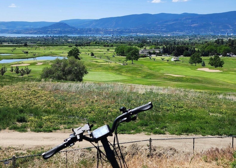 Picture 2 for Activity Kelowna: E-Bike Bee Tour w/ Tastings, Lunch, and Audioguide