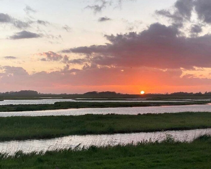 Picture 5 for Activity Small group full day island tour to Texel from Amsterdam