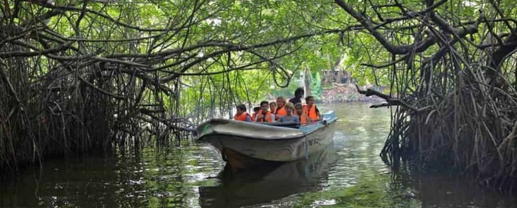 Picture 3 for Activity Mangrove Adventure in Bentota