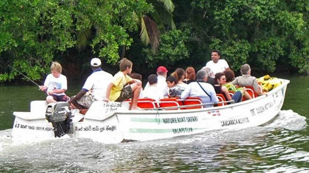 Picture 2 for Activity Mangrove Adventure in Bentota