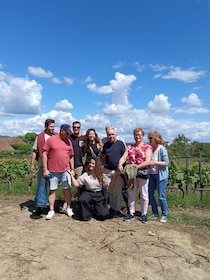 Porto: Douro Valley Tour with 2 Wineries, Lunch and Cruise