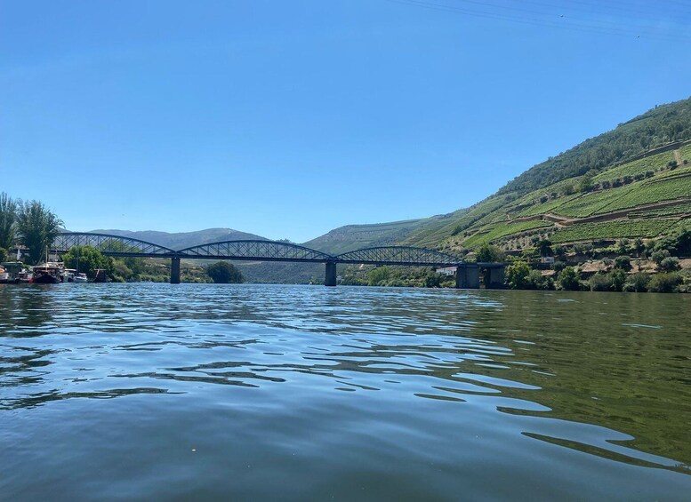 Picture 8 for Activity Porto: Douro Valley Tour with 2 Wineries, Lunch and Cruise