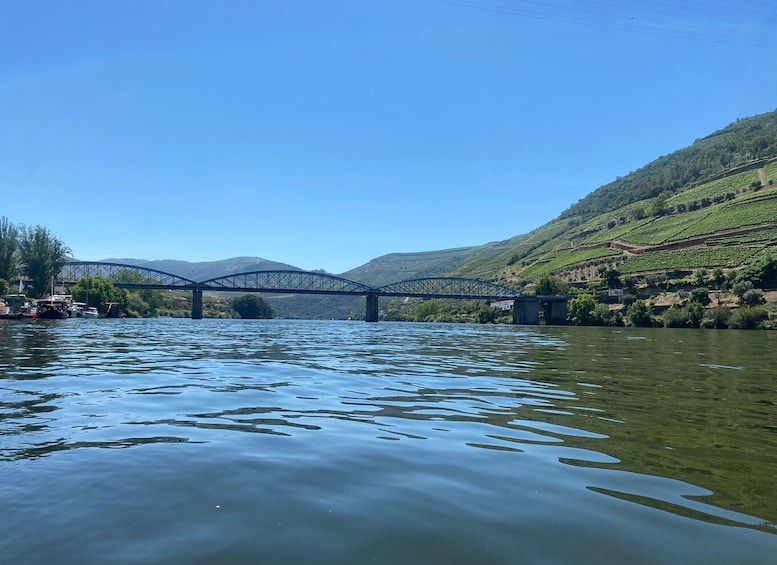 Picture 8 for Activity Porto: Douro Valley Tour with 2 Wineries, Lunch and Cruise
