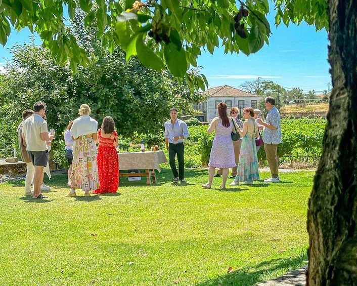 Picture 3 for Activity Porto: Douro Valley Tour with 2 Wineries, Lunch and Cruise