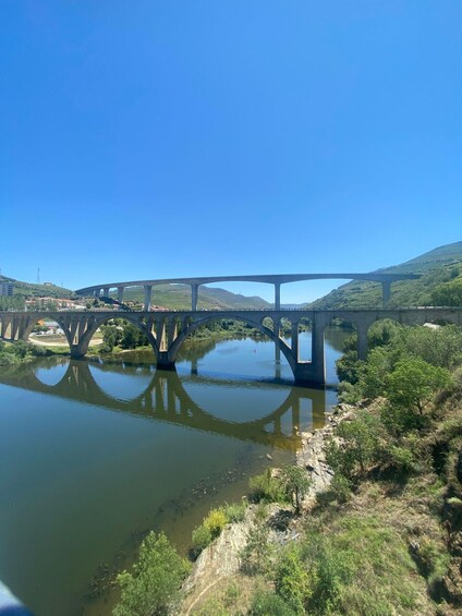 Picture 14 for Activity Porto: Douro Valley Tour with 2 Wineries, Lunch and Cruise