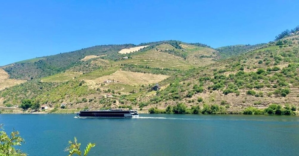 Picture 15 for Activity Porto: Douro Valley Tour with 2 Wineries, Lunch and Cruise