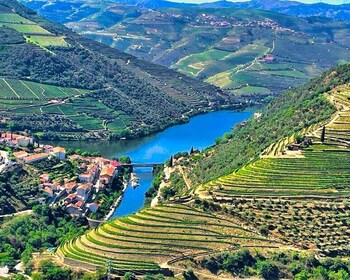 Porto: Douro Valley Tour with 2 Wineries, Lunch and Cruise