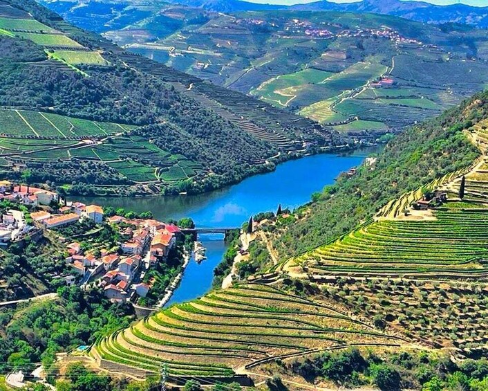 Porto: Douro Valley Tour with 2 Wineries, Lunch and Cruise