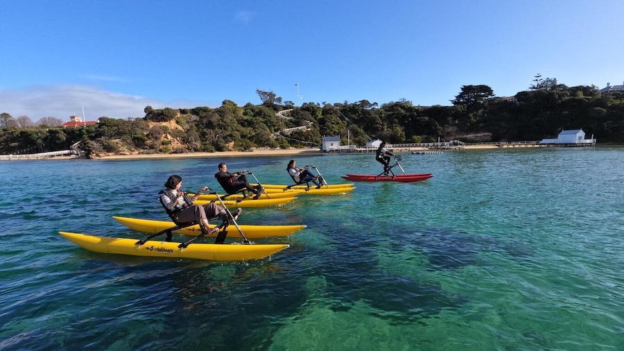 Sorrento, Mornington Peninsula Waterbike Tour