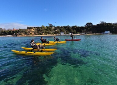 Sorrento, Mornington Peninsula Waterbike Tour