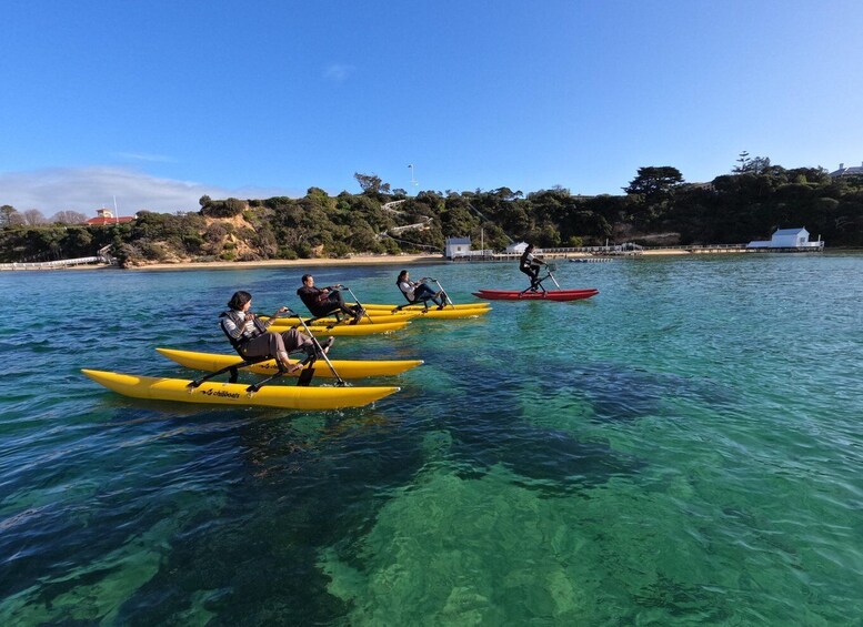 Sorrento, Mornington Peninsula Waterbike Tour