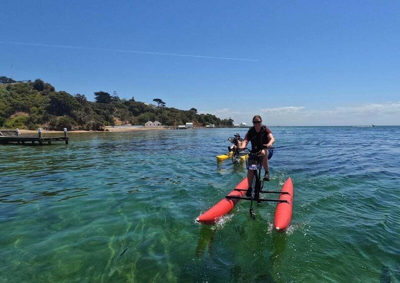 Picture 4 for Activity Sorrento, Mornington Peninsula Waterbike Tour