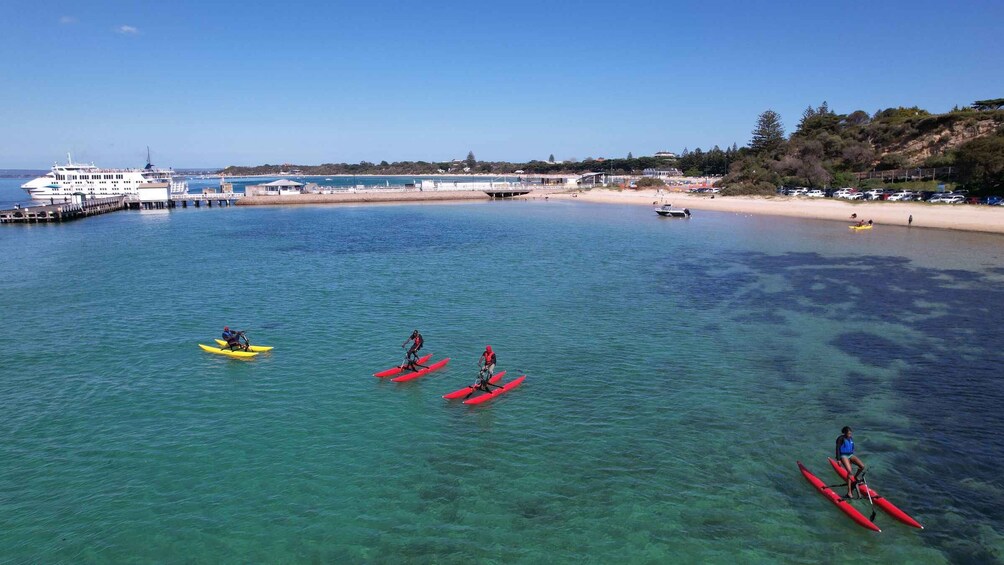 Picture 3 for Activity Sorrento, Mornington Peninsula Waterbike Tour