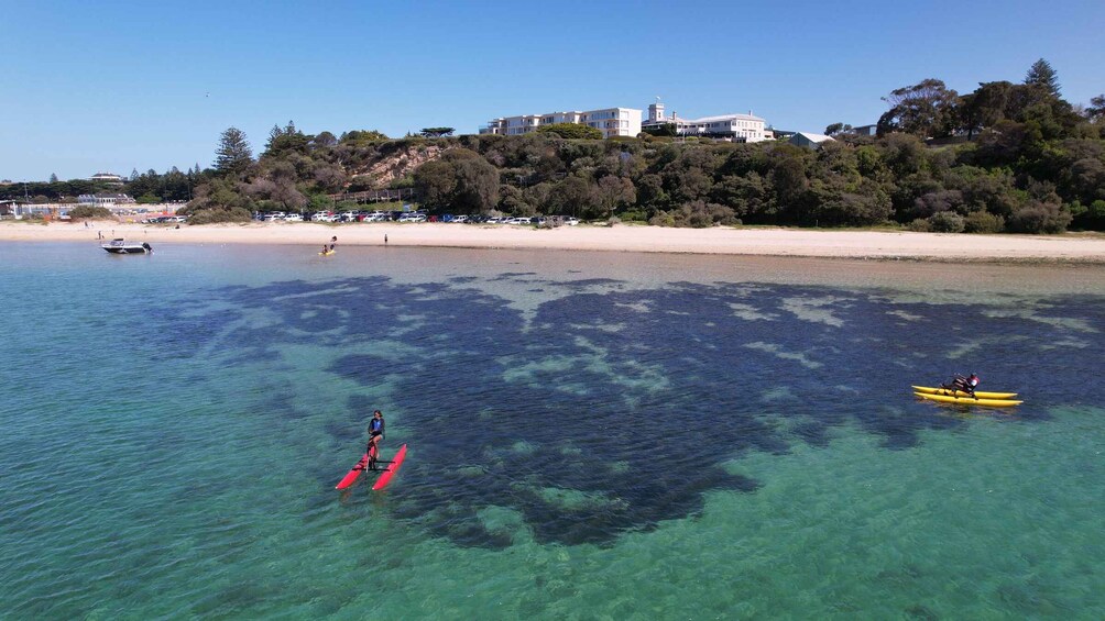 Picture 1 for Activity Sorrento, Mornington Peninsula Waterbike Tour