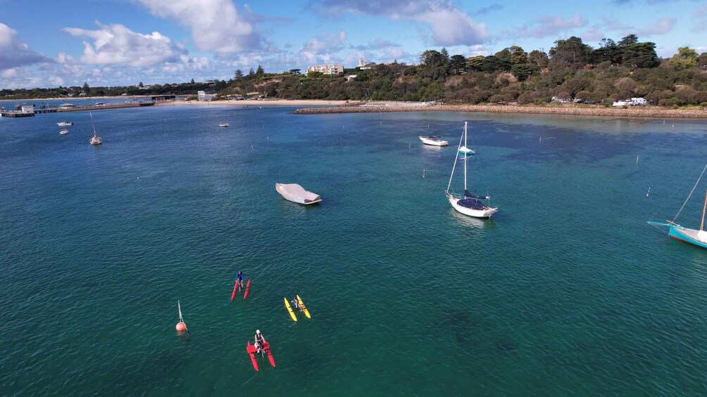 Picture 5 for Activity Sorrento, Mornington Peninsula Waterbike Tour