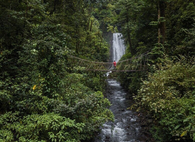 Picture 1 for Activity Monteverde: Waterfalls, Wild Trekking and Horseback Riding