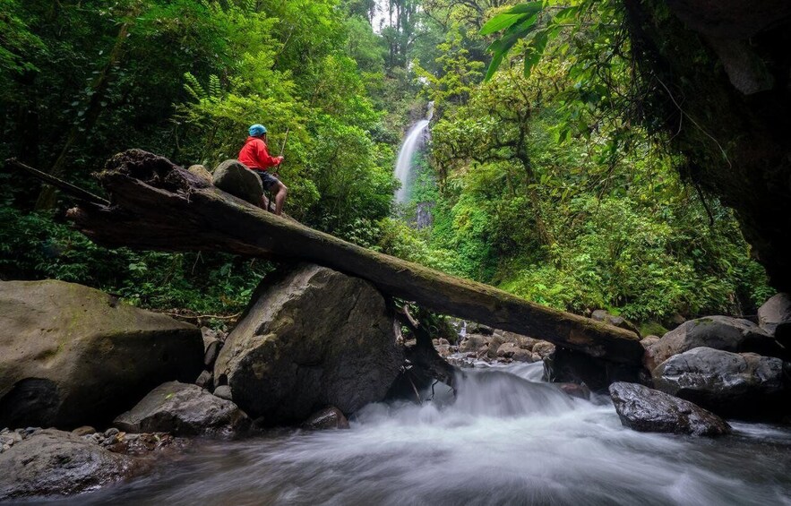 Picture 9 for Activity Monteverde: Waterfalls, Wild Trekking and Horseback Riding