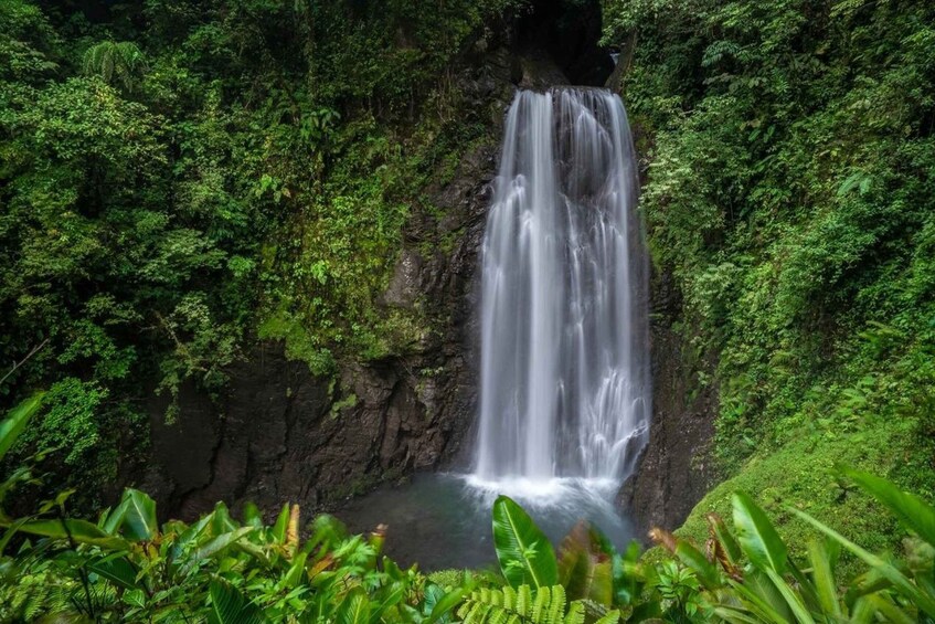 Picture 5 for Activity Monteverde: Waterfalls, Wild Trekking and Horseback Riding